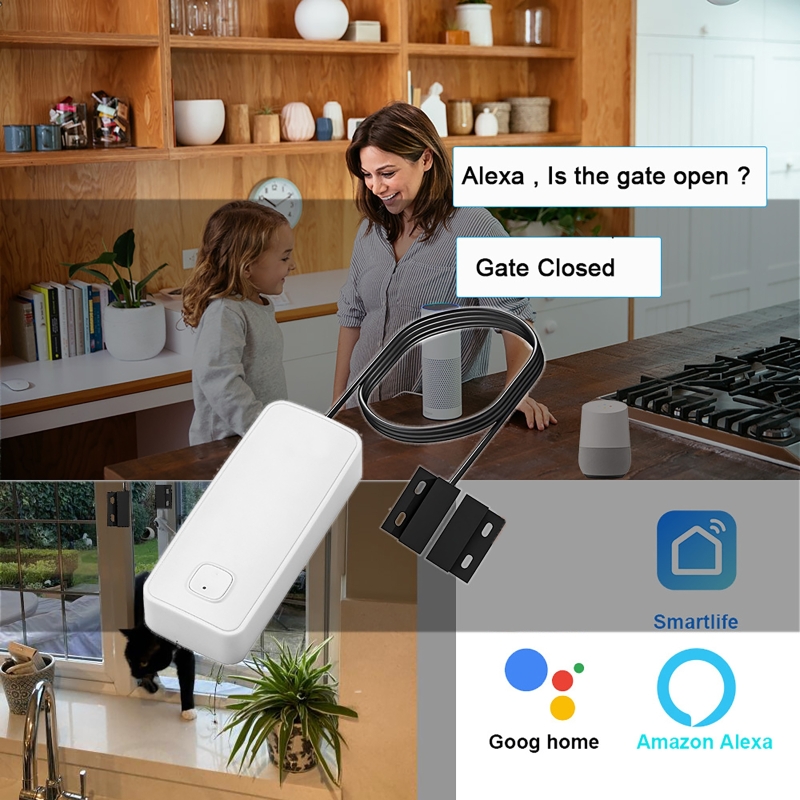 Rilevatore magnetico per porte - Home Security With Ai recensione e prezzo