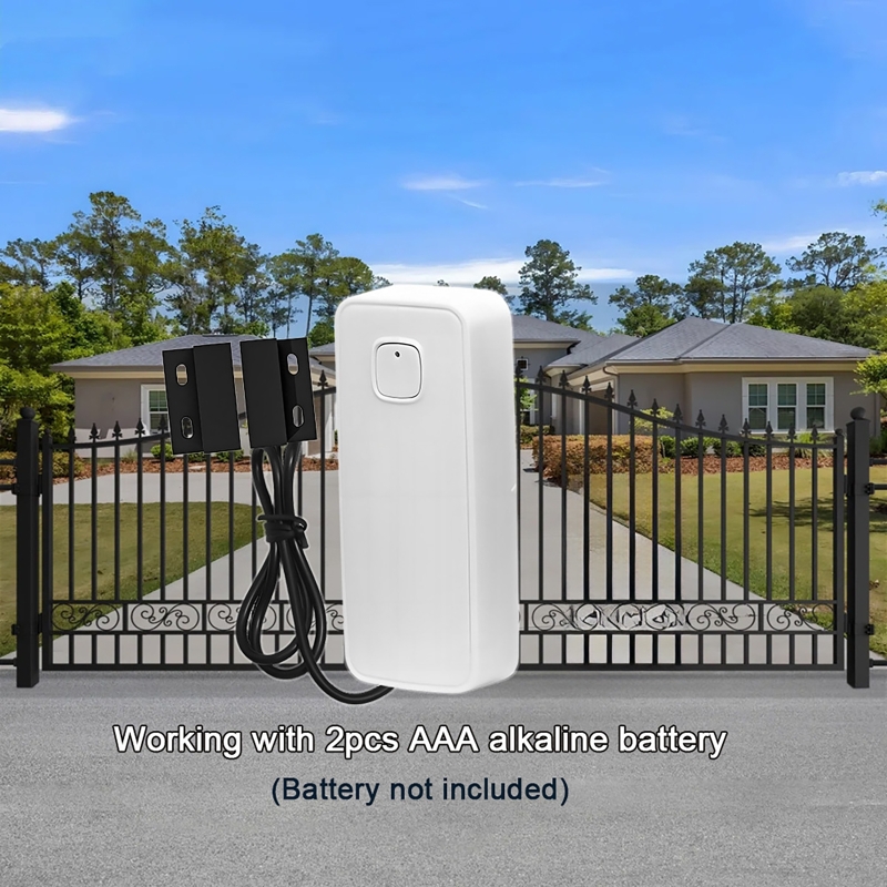 Rilevatore magnetico per porte - Home Security With Ai recensione e prezzo