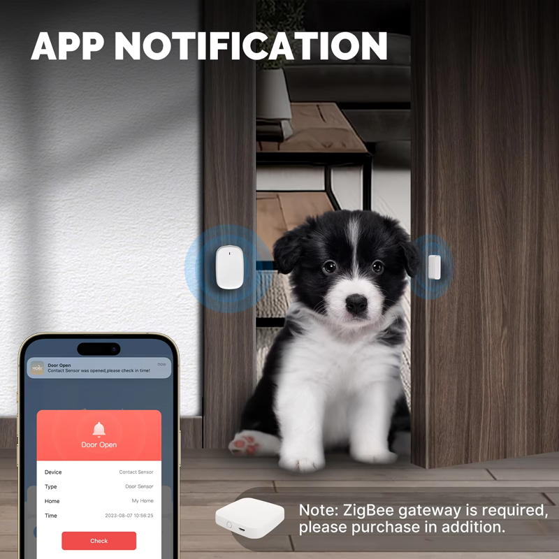 Sensore per Porte e Finestre M - Home Security With Ai recensione e prezzo