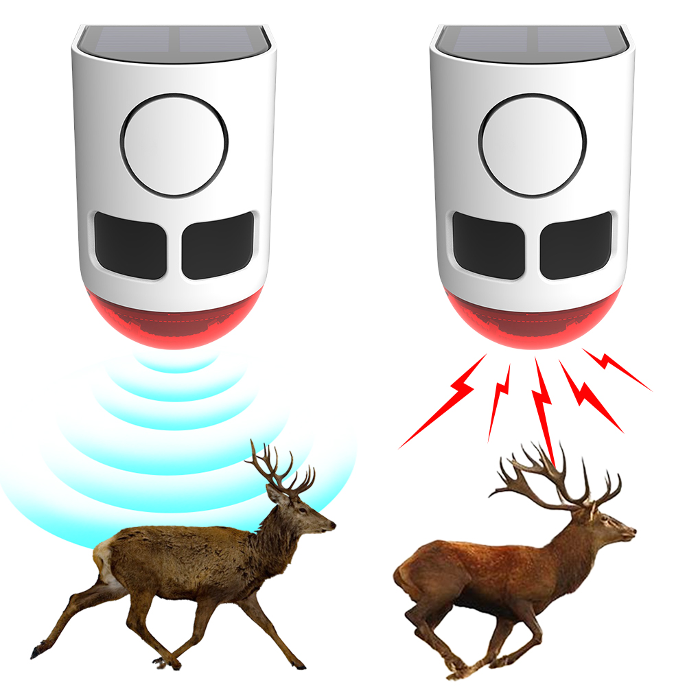 Allarme Solare da Esterno con  - Home Security Lights Outdoors recensione e prezzo
