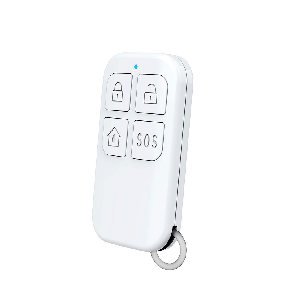 Rilevatore di telecomando wire - Home Security With Ai recensione e prezzo