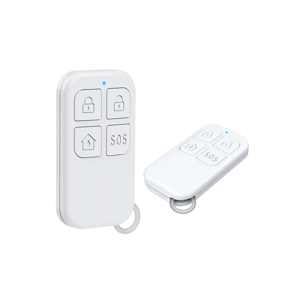 Rilevatore di telecomando wire - Home Security With Ai recensione e prezzo
