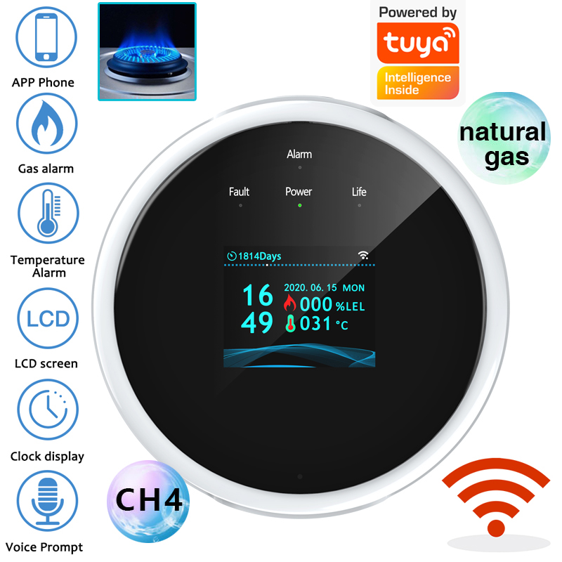 Sensore di Allarme Gas WiFi 2. - Home Security With Ai recensione e prezzo