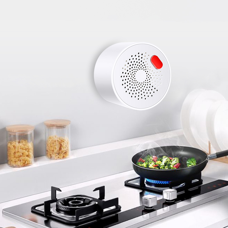 Tuya Smart Home Wifi sensore d - Home Security With Ai recensione e prezzo
