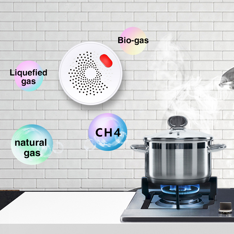 Tuya Smart Home Wifi sensore d - Home Security With Ai recensione e prezzo