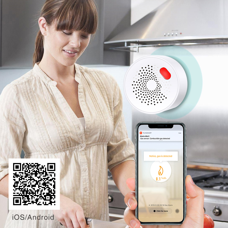 Tuya Smart Home Wifi sensore d - Home Security With Ai recensione e prezzo